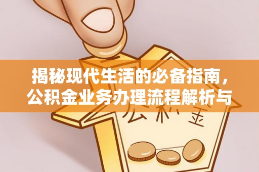 阿拉善盟揭秘现代生活的必备指南，公积金业务办理流程解析与优化建议