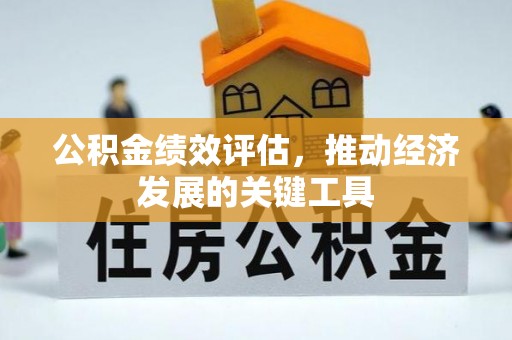 阿拉善盟公积金绩效评估，推动经济发展的关键工具