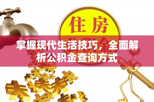 阿拉善盟掌握现代生活技巧，全面解析公积金查询方式