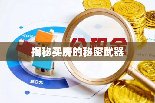 阿拉善盟揭秘买房的秘密武器