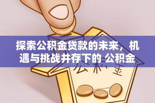 阿拉善盟探索公积金贷款的未来，机遇与挑战并存下的 公积金贷款风险防控