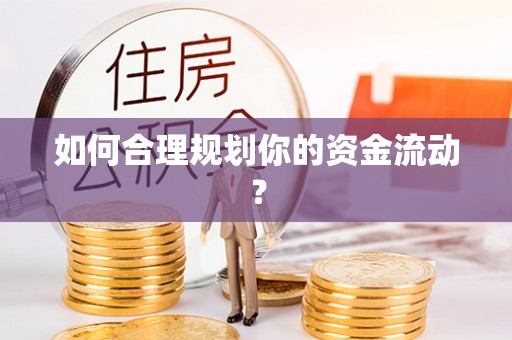 阿拉善盟如何合理规划你的资金流动？
