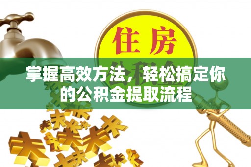 阿拉善盟掌握高效方法，轻松搞定你的公积金提取流程