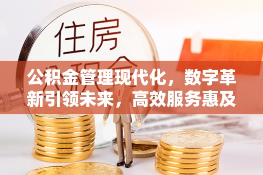 阿拉善盟公积金管理现代化，数字革新引领未来，高效服务惠及民生