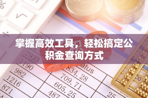 阿拉善盟掌握高效工具，轻松搞定公积金查询方式