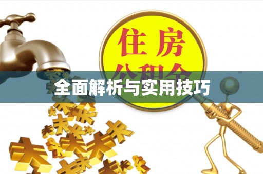阿拉善盟全面解析与实用技巧