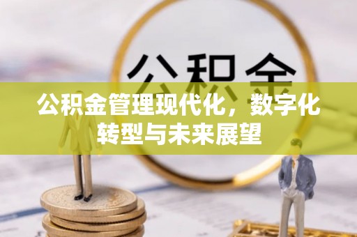 阿拉善盟公积金管理现代化，数字化转型与未来展望