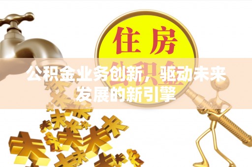 阿拉善盟公积金业务创新，驱动未来发展的新引擎