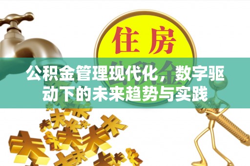 阿拉善盟公积金管理现代化，数字驱动下的未来趋势与实践