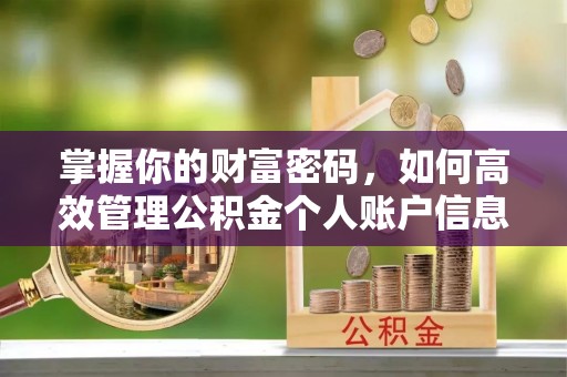 阿拉善盟掌握你的财富密码，如何高效管理公积金个人账户信息