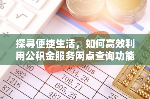 阿拉善盟探寻便捷生活，如何高效利用公积金服务网点查询功能