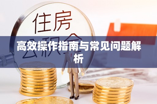 阿拉善盟高效操作指南与常见问题解析