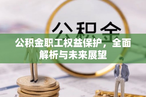 阿拉善盟公积金职工权益保护，全面解析与未来展望