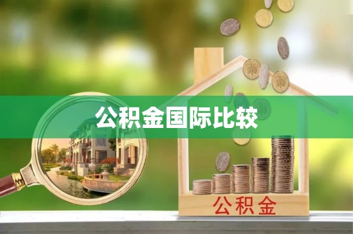 阿拉善盟公积金国际比较