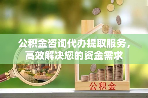 阿拉善盟公积金咨询代办提取服务，高效解决您的资金需求