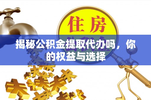 阿拉善盟揭秘公积金提取代办吗，你的权益与选择