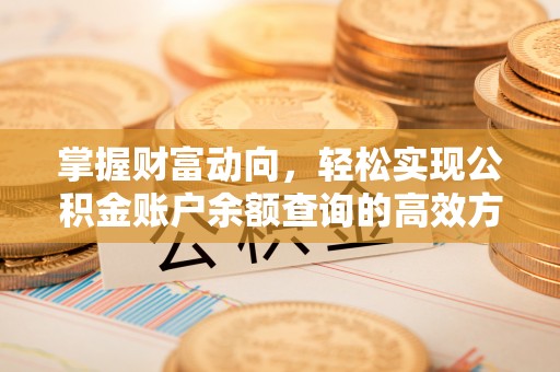 阿拉善盟掌握财富动向，轻松实现公积金账户余额查询的高效方式