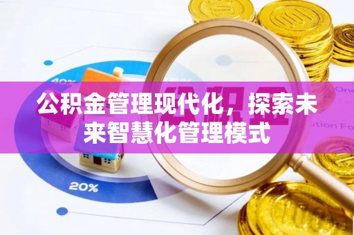 阿拉善盟公积金管理现代化，探索未来智慧化管理模式