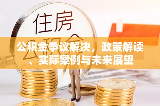 阿拉善盟公积金争议解决，政策解读、实际案例与未来展望