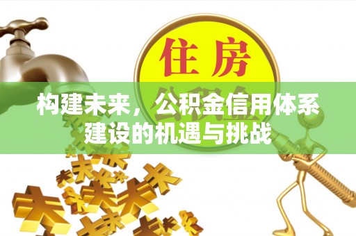 阿拉善盟构建未来，公积金信用体系建设的机遇与挑战