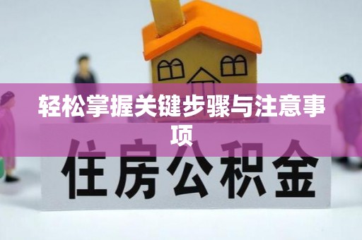 阿拉善盟轻松掌握关键步骤与注意事项