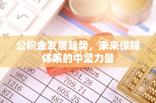 阿拉善盟公积金发展趋势，未来保障体系的中坚力量