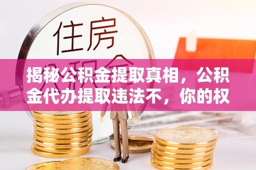阿拉善盟揭秘公积金提取真相，公积金代办提取违法不，你的权益如何保障？