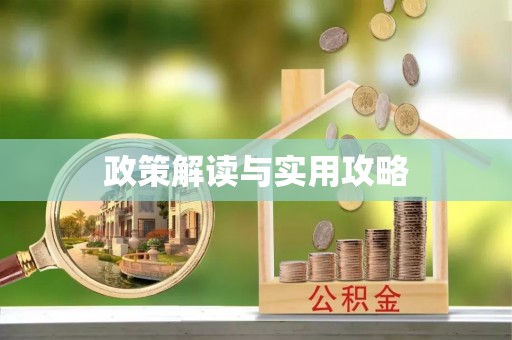 阿拉善盟政策解读与实用攻略