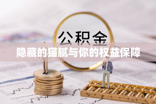 阿拉善盟隐藏的猫腻与你的权益保障