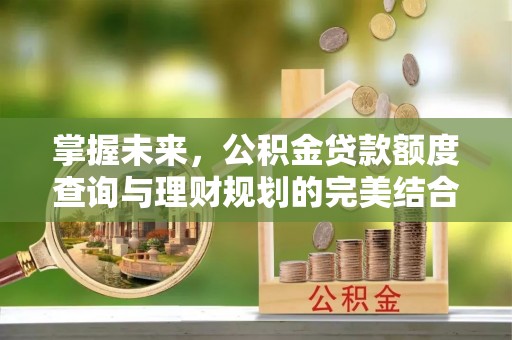 阿拉善盟掌握未来，公积金贷款额度查询与理财规划的完美结合