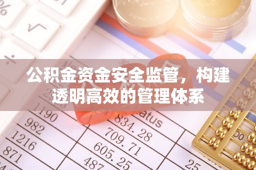 阿拉善盟公积金资金安全监管，构建透明高效的管理体系