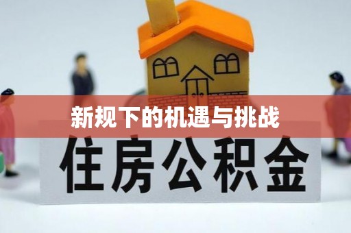阿拉善盟新规下的机遇与挑战