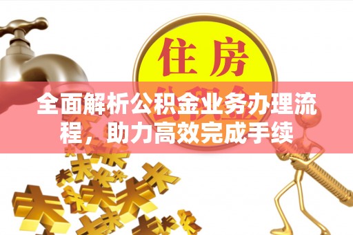 阿拉善盟全面解析公积金业务办理流程，助力高效完成手续