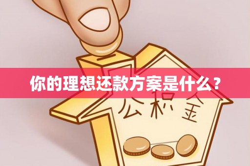 阿拉善盟你的理想还款方案是什么？