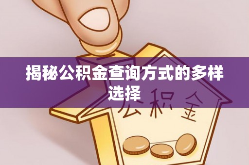 阿拉善盟揭秘公积金查询方式的多样选择