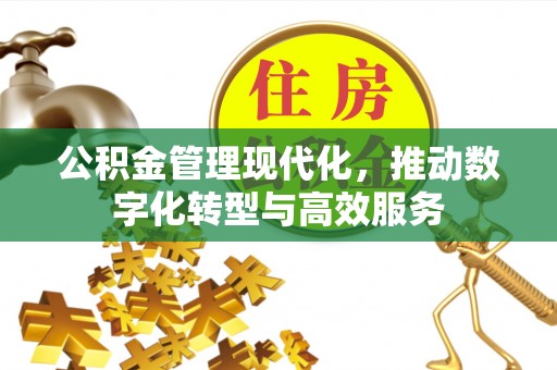阿拉善盟公积金管理现代化，推动数字化转型与高效服务