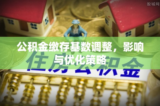 阿拉善盟公积金缴存基数调整，影响与优化策略