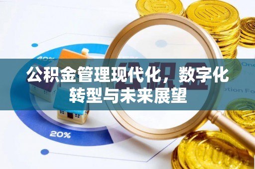 阿拉善盟公积金管理现代化，数字化转型与未来展望