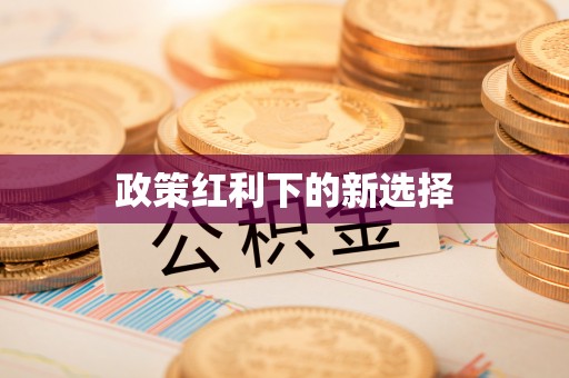 阿拉善盟政策红利下的新选择