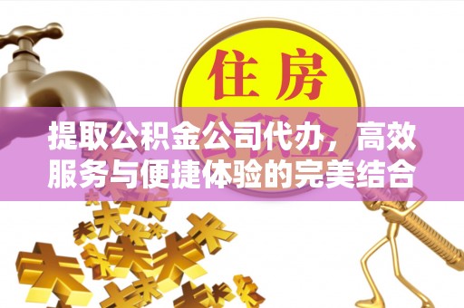 阿拉善盟提取公积金公司代办，高效服务与便捷体验的完美结合