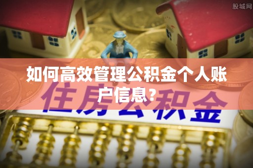 阿拉善盟如何高效管理公积金个人账户信息？