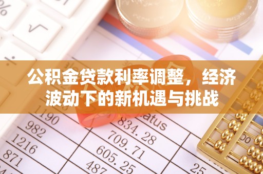 阿拉善盟公积金贷款利率调整，经济波动下的新机遇与挑战