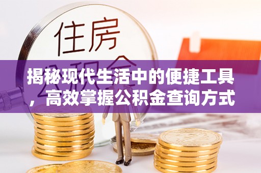 阿拉善盟揭秘现代生活中的便捷工具，高效掌握公积金查询方式