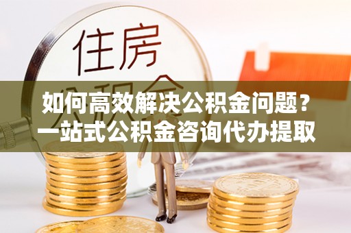 阿拉善盟如何高效解决公积金问题？一站式公积金咨询代办提取服务全解析