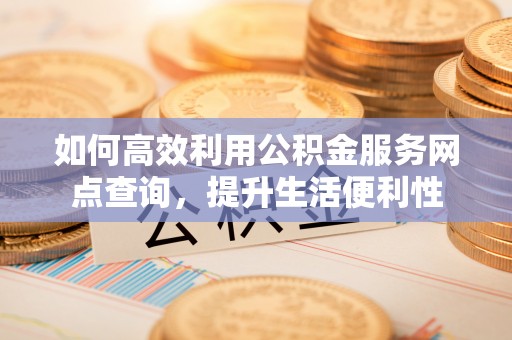阿拉善盟如何高效利用公积金服务网点查询，提升生活便利性