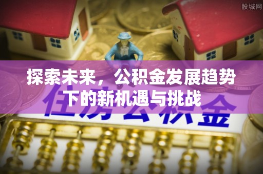 阿拉善盟探索未来，公积金发展趋势下的新机遇与挑战