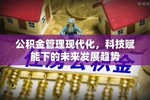 阿拉善盟公积金管理现代化，科技赋能下的未来发展趋势