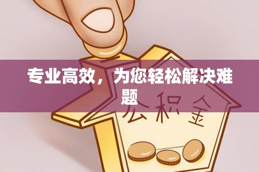 阿拉善盟专业高效，为您轻松解决难题