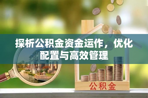 阿拉善盟探析公积金资金运作，优化配置与高效管理