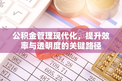 阿拉善盟公积金管理现代化，提升效率与透明度的关键路径